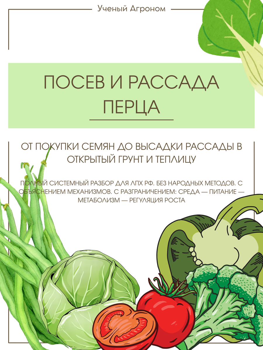 Как вырастить идеальный перец: полное руководство от семян до сбора урожая