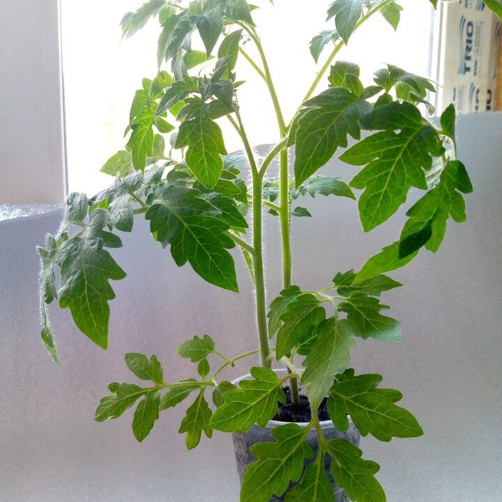 ������� ��������� ������ �������: ����� ������ ��� ������ � ��������� ������