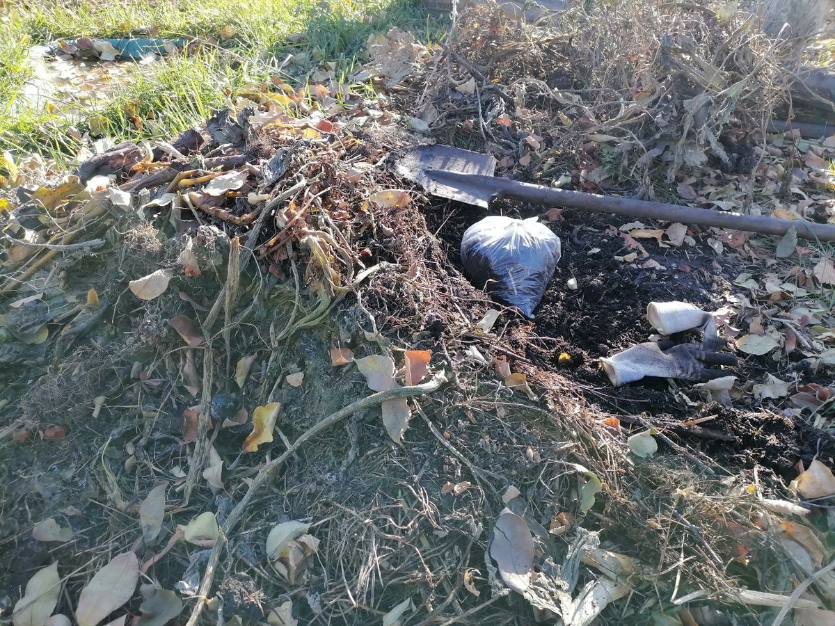 Как заготовить грунт для рассады: проверенные советы для садоводов