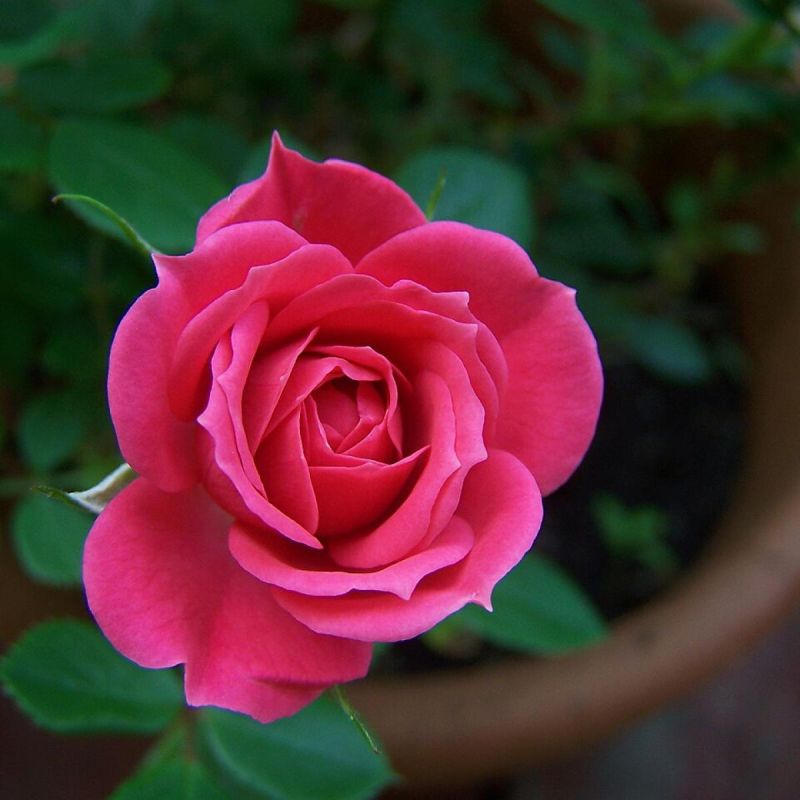 ������ ������� ������ ���� � ��� ����� �������������