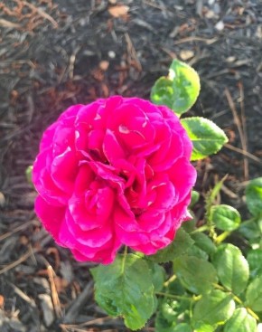 ��������� � ���������� ����: ������ ������� ������ � ������� �������