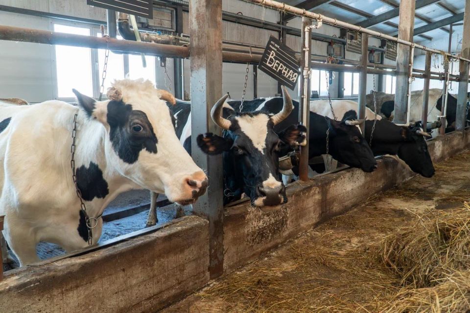 � ��������� �������� ��� �� ����������� ������