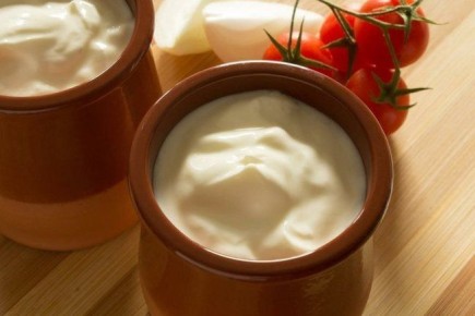 Ресторан с Michelin-star презентовал уникальный йогурт с муравьями