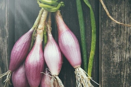 ��� ��������� ������� �������� ���: ������� ��� ��������� ������