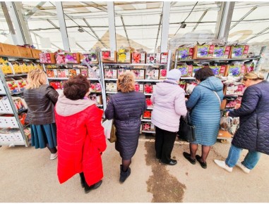 Почему приусадебные участки становятся дорогостоящими увлечениями