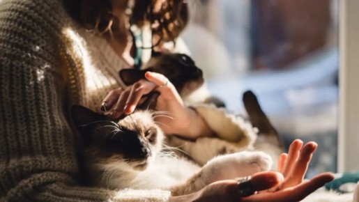 ����������� �������� � �������� ����������: ���������� ������������� ��