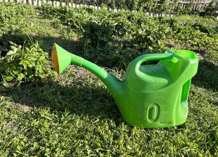 ��� ������ �������� �������� ���� � �������� ����� ��������