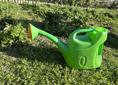 Как дрожжи помогают улучшить рост и здоровье ваших растений