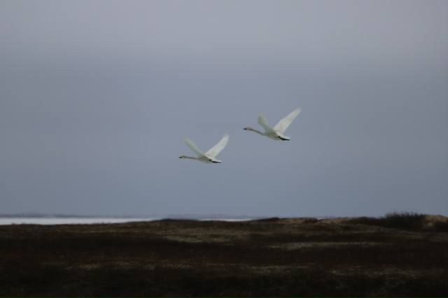 � ����� ��� � ����������� ��������� ���� ����������� �������