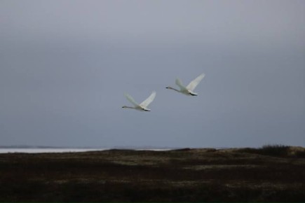 � ����� ��� � ����������� ��������� ���� ����������� �������