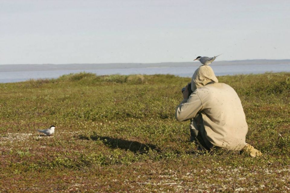 ����� ����� � ����������� ���������