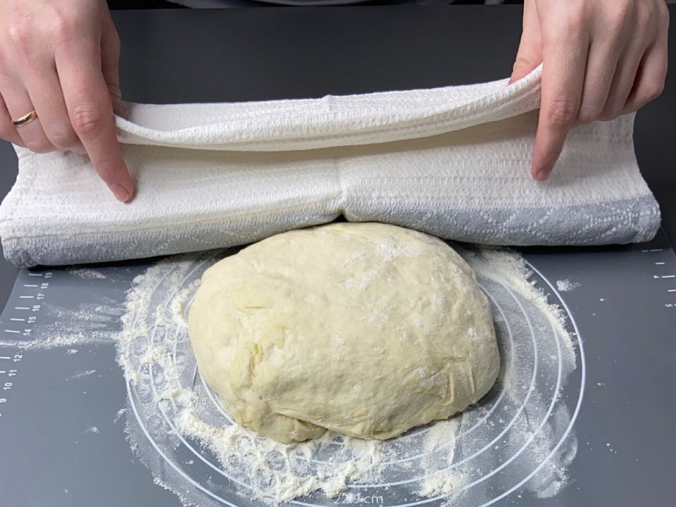 ������������ ������ �������� ��������