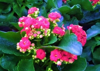 ��� ��������� �������� ������: �������, � ������� �� �� �����������