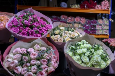 ������� ������� �� ���������: ������ �������� ����� �������������� ��������� ���