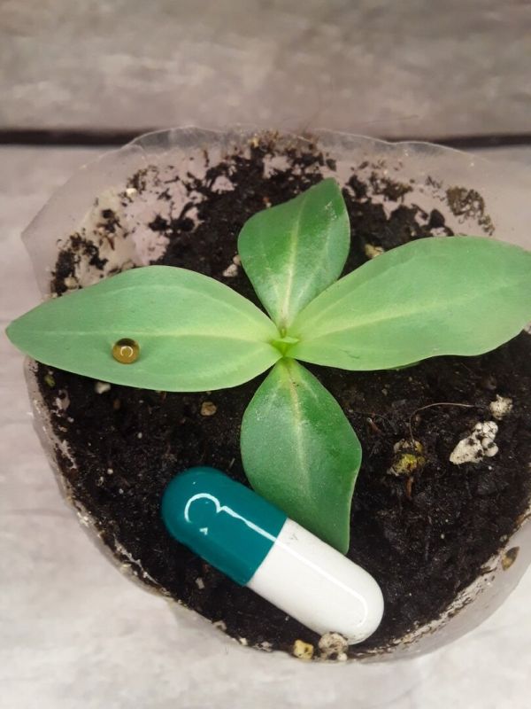 ������� �� �����������: ����� ������ ����� ������ ������