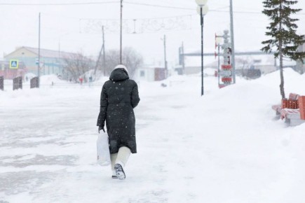 � ������-���� � ������ � ������ �������������� � �������� ���������