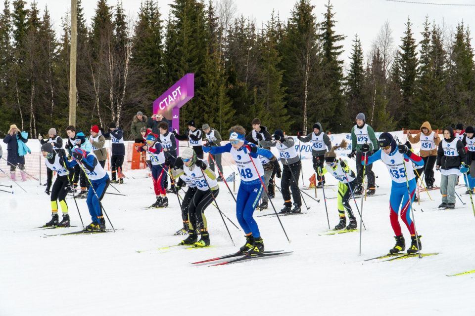 ������ ������ ������� ��������� ������� ���