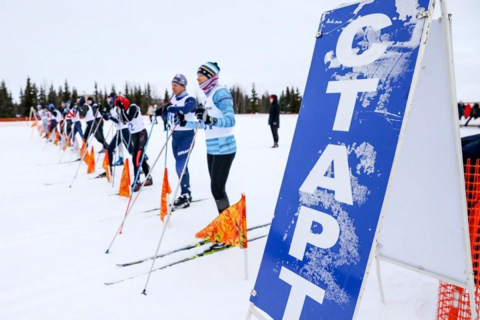 ���������� � �� ��������� ������� ����������� ������ � 2026