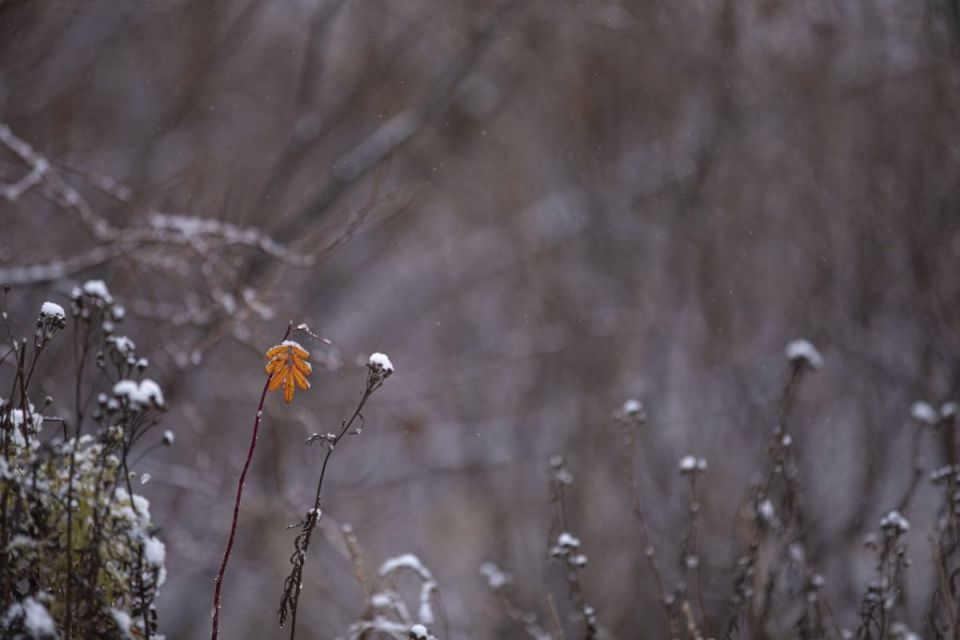 � ��� ������� ����� �������� � ������ ������ � ������