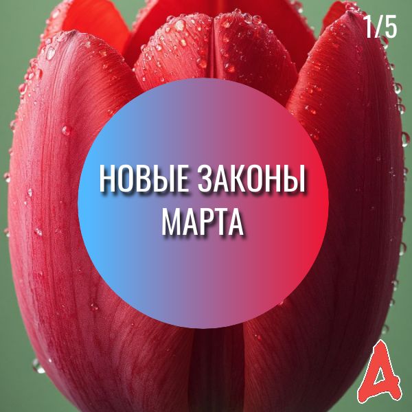 ����� ������� �����: ��� ��������� � ����� �������