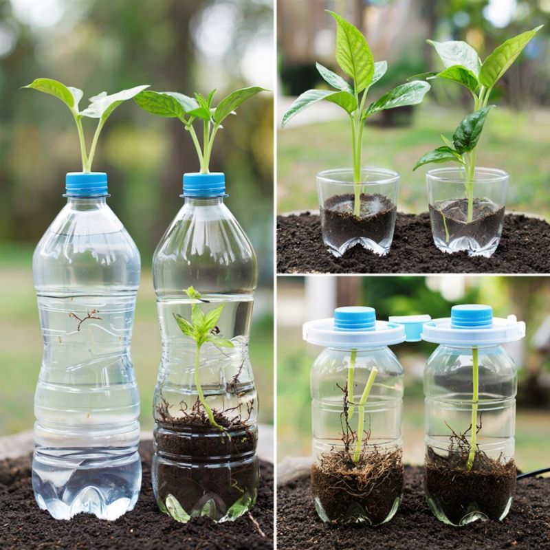 ��� ������� ��������� ������� ���������� ��� ������� �� ����������� �������