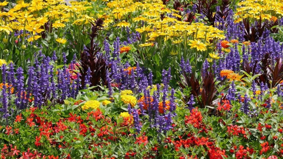 ������������ �������: ������ ����� ��� ������ ����