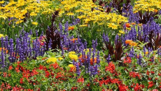 ������������ �������: ������ ����� ��� ������ ����