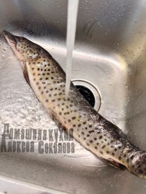 Котлеты из щуки с нежным свиным салом: как успешно их приготовить