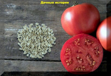 ������ �� ����������� �������: �� ����� �� ����� ������