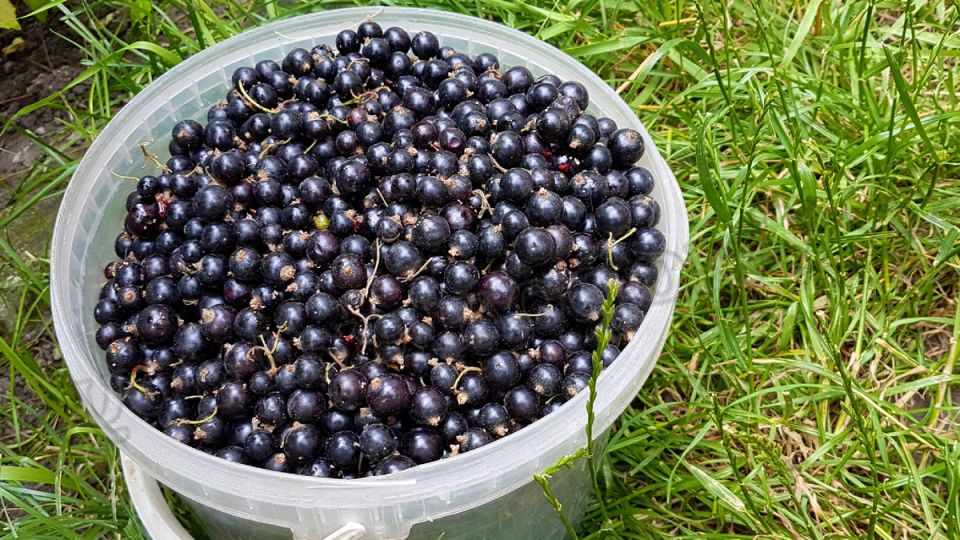 ��� ������� ������� ������� ������� � �������� �������� ��������