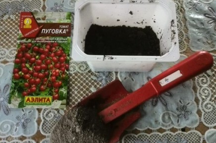 ��� ��������� ������ � �������� �������� �����: �������� ������