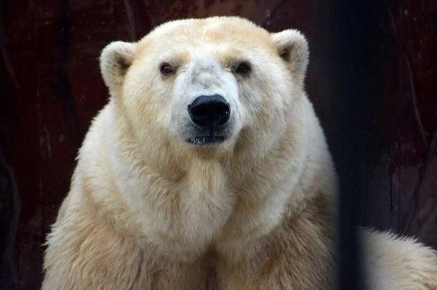 ����� ��������� �� ��� ����� �������� ��������� ��������