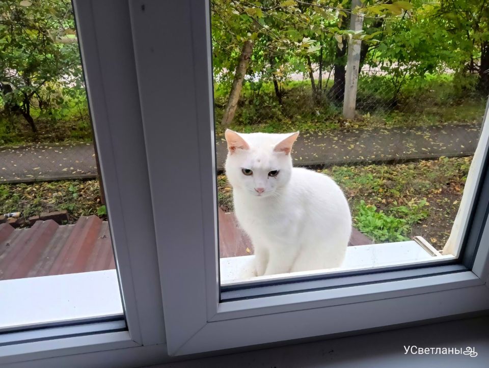 ����� ������� �������� ���������� ��������� � ����� ���