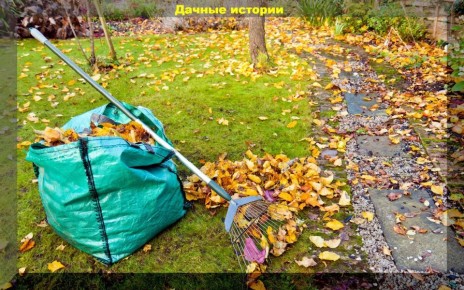 Сентябрь на даче: план действий для успешного сезона