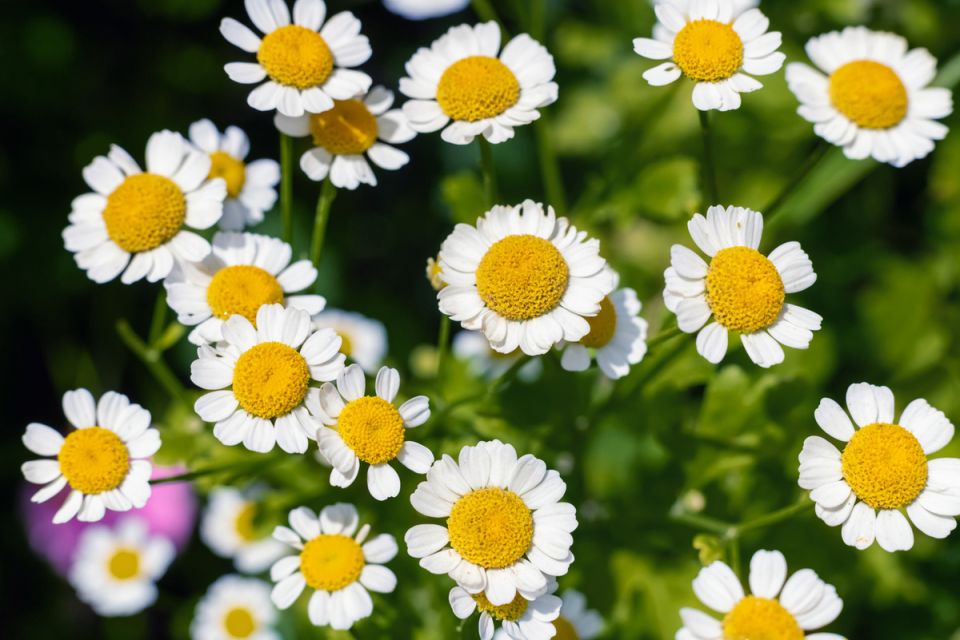 ������������ �������: �������� ��� ���������� ��� ������ ����