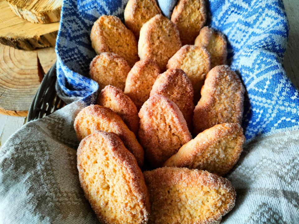 ������� ������������ �� ������