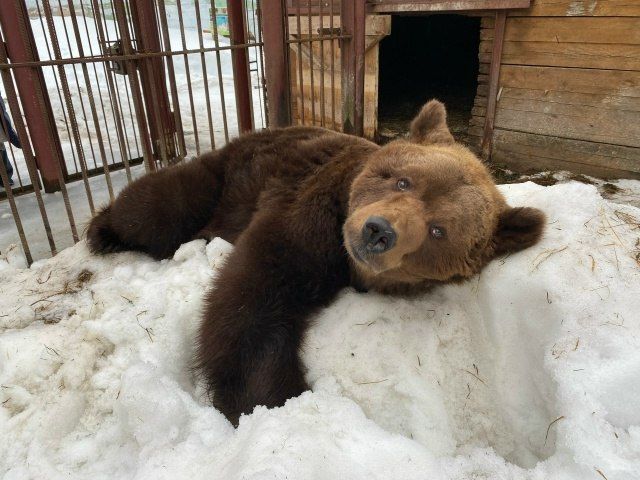 � �������� ����������� ��������� ����� ������� ������