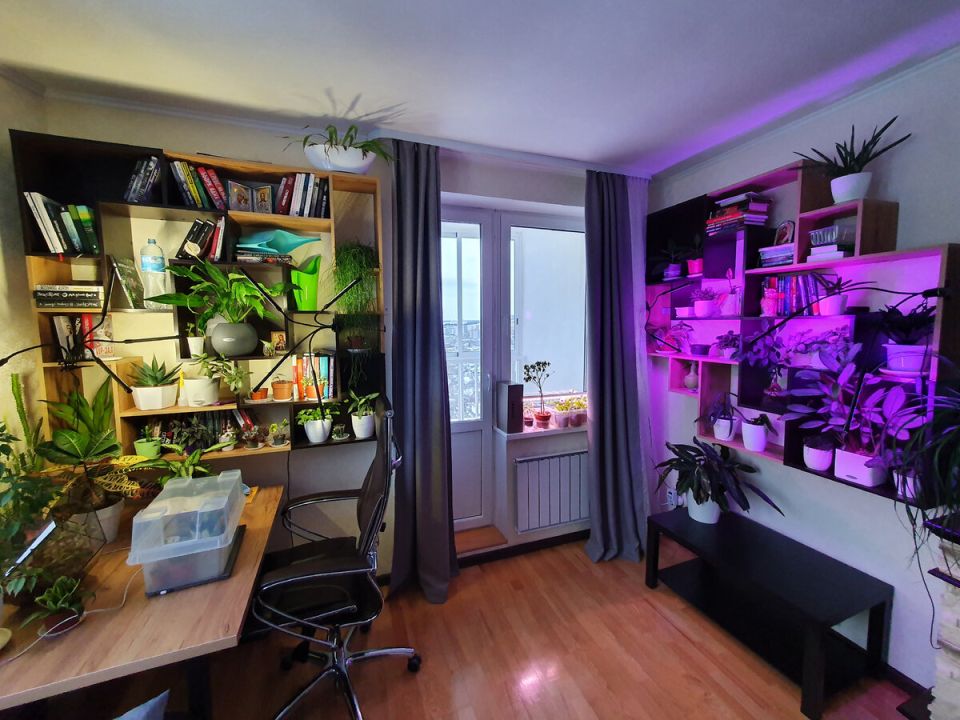 ��� ������� ��������� ��� �������� ��������: ����������� �������� � �������� ������