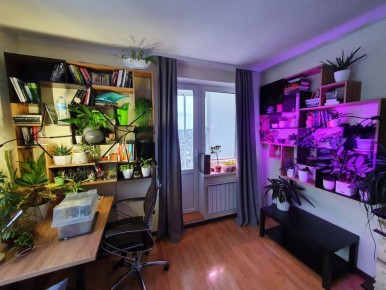 Как выбрать фитолампу для домашних растений: проверенные варианты и полезные советы