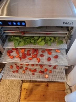 �������� ��� �� ������ �����: ��� �������, ���������� � ������� ������