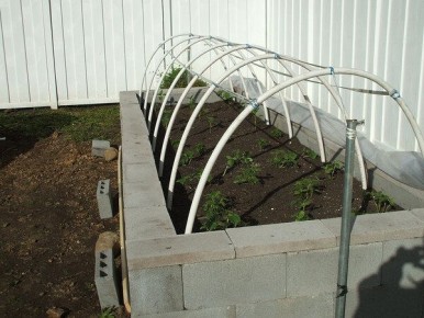 Парник на высокой грядке: создаем идеальные условия для урожая