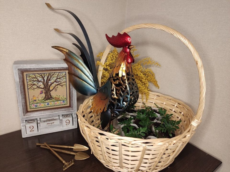 ��� ������ ���������? �� ������� �� ������������ � ����� �������