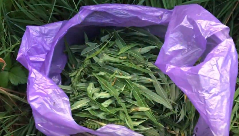 ��� �������� ��������� ������� ����-���: ���� �������� �����������