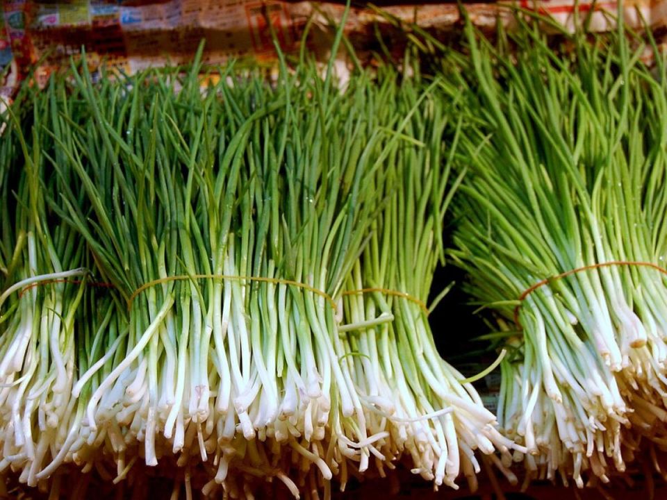 ��� ��������� ������ ��� ����� �� ��������� ���� � ����������� ������