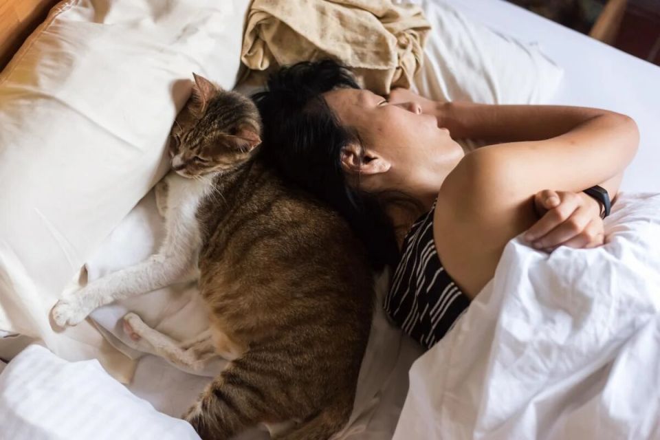 ������ ���� ����� �� ���� ��� �����: ����������� ������� � �������