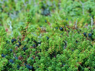 �����: ���������� ����� �������� �����