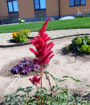 ����� ������� ��������� ����: ����� ������������ ������� �����