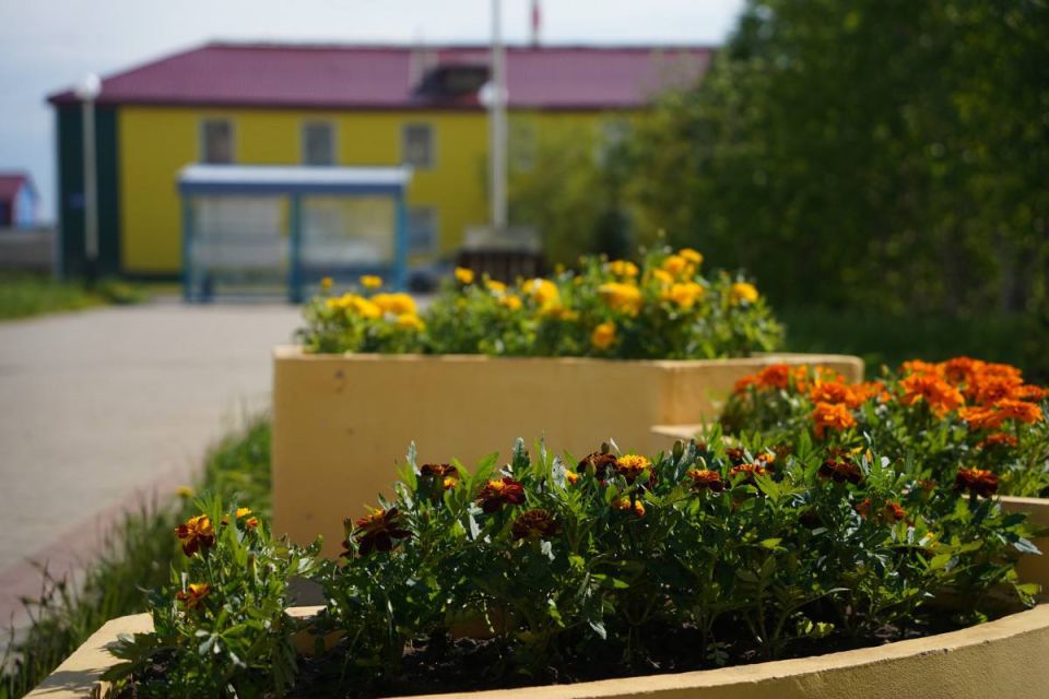 ����� �������� ����� 37 ��������� ������ �� ��������������� ������-����