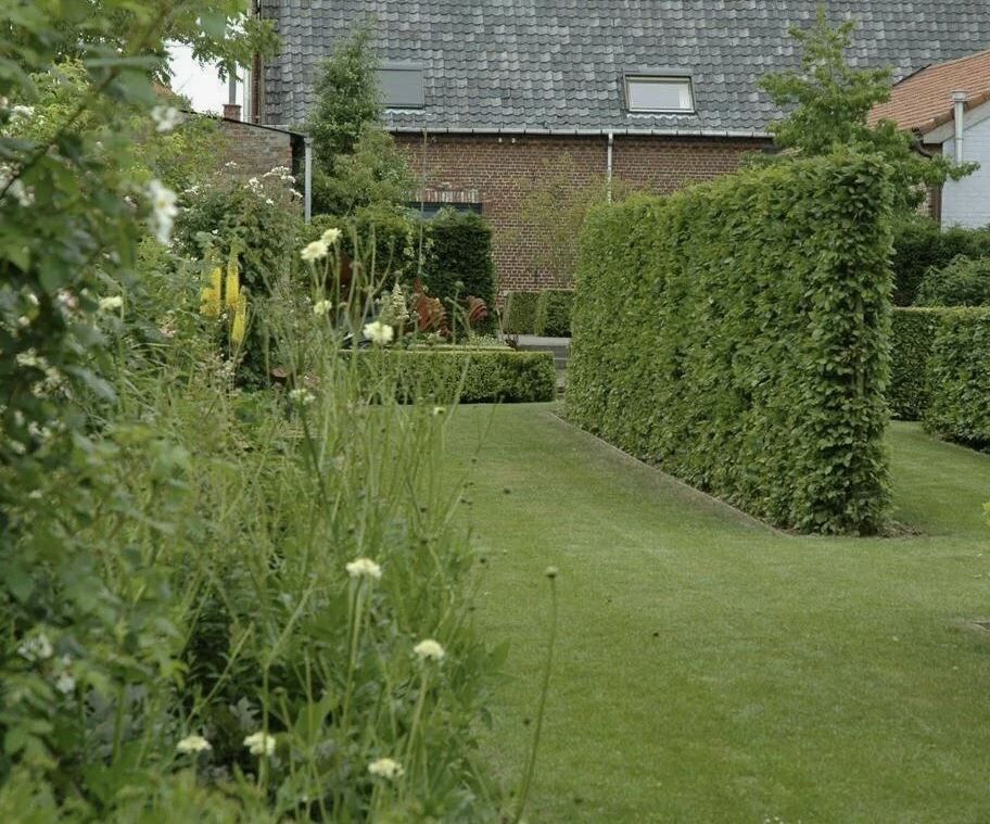 ��� ������� ������ ���� �� ���� � ������� ��������