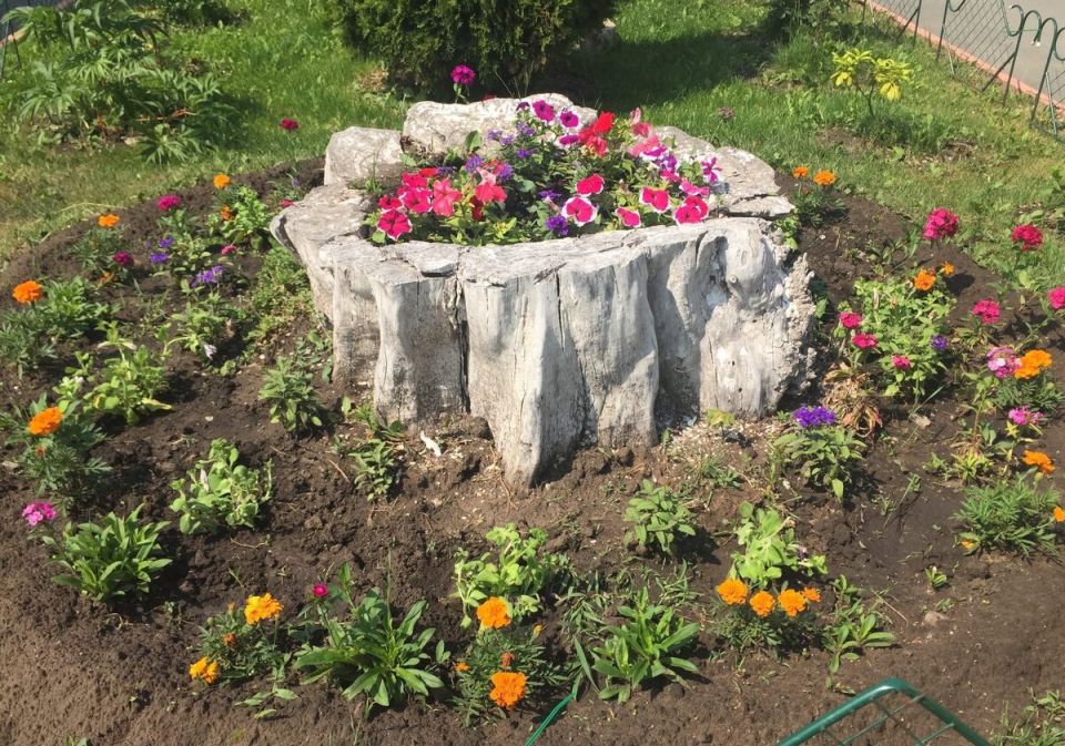 ��� �������� ���������� ��� � ��������� �����